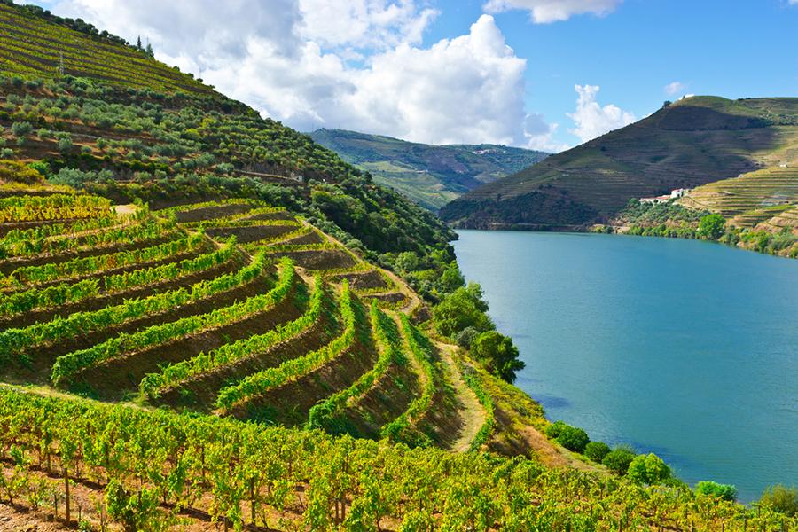 CRUCEROS DUERO REGUA CRUCEROS FLUVIALES CRUCEROS VINO CRUCEROS PORTUGAL CRUCEROS FLUVIALES DUERO